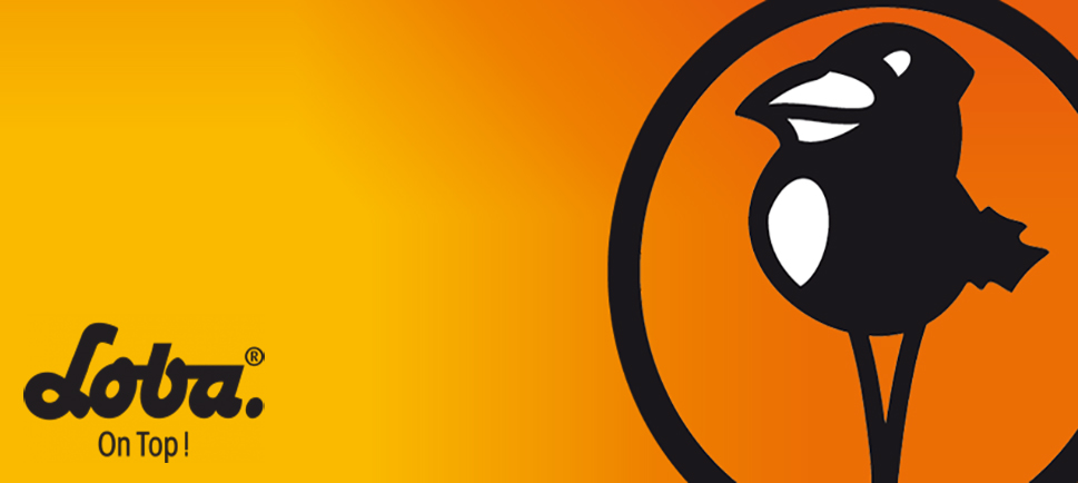 Image_Header